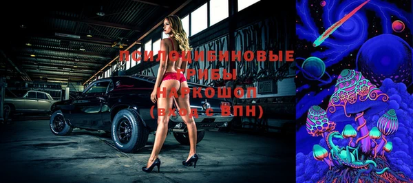 меф Вяземский