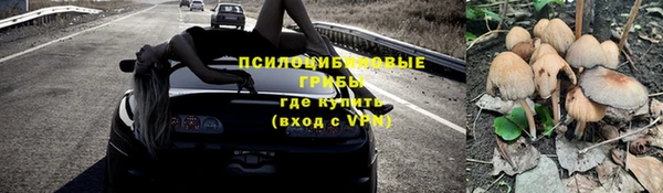 apvp Волоколамск